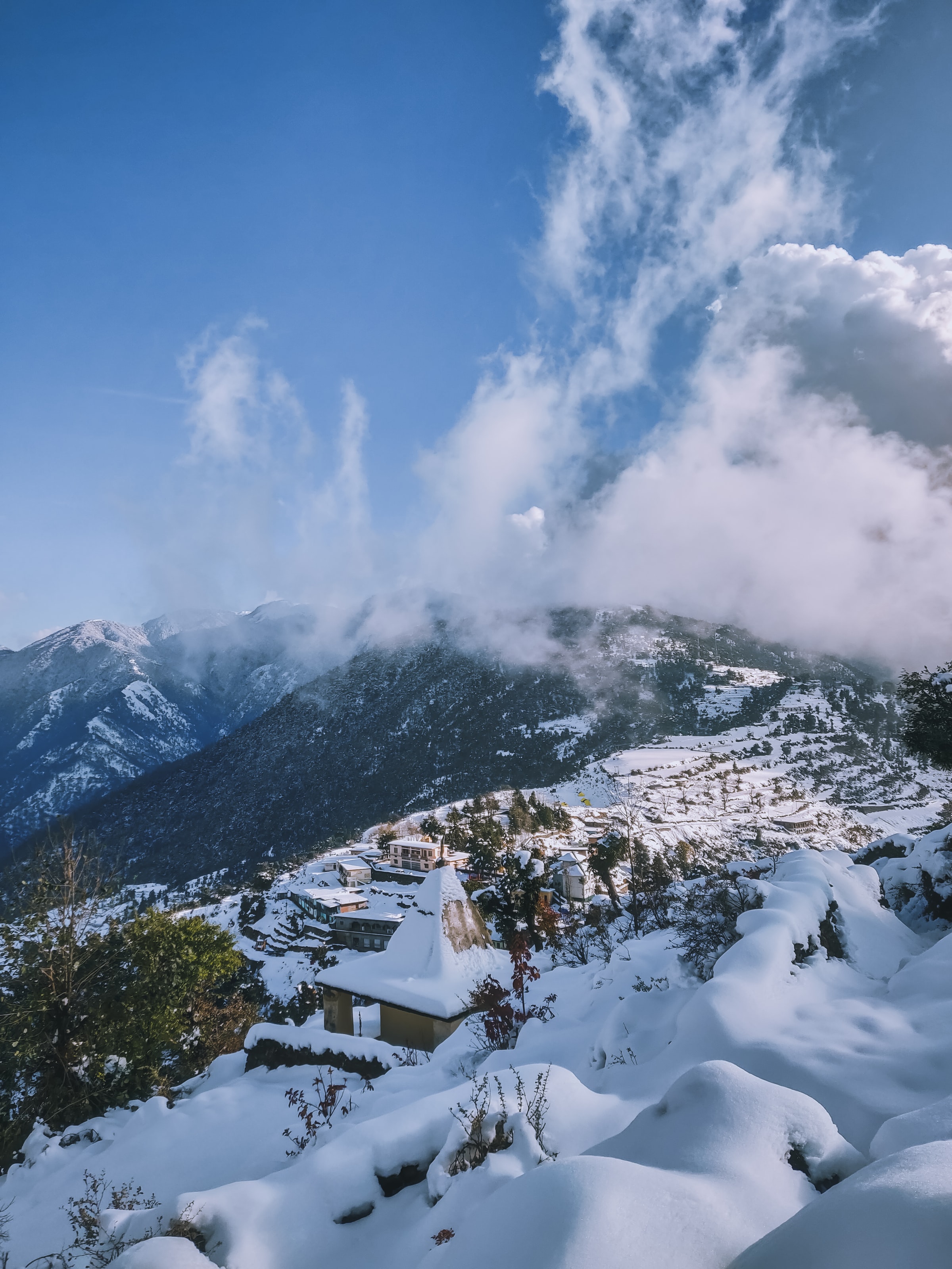 manali1